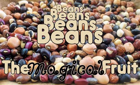 Beyond Meatless Mondays: Incorporating More Beans into Your Weekly Meal Plan